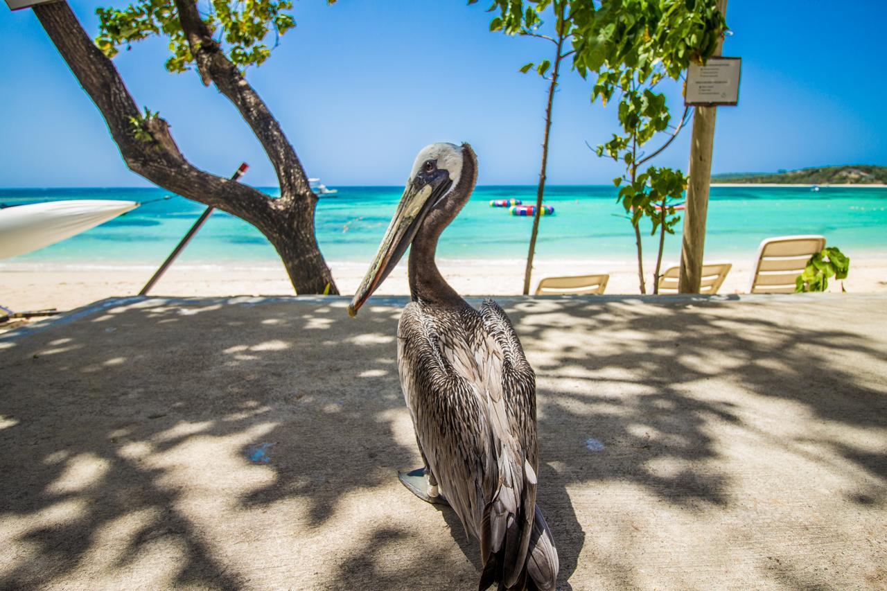 Paradise Island Beach Resort Punta Rucia Esterno foto